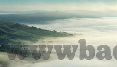 大象回家视频在线观看-探索自然奇观，大象归家之旅的温馨画面
