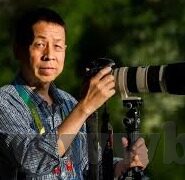 糖心vlog成人兑换码-探索未知的视界，剖析糖心Vlog的成人内容与兑换码的深层魅力
